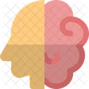 Brain And Head  Icon