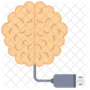 Brain Cable  Icon