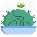 Brain Cactus  Icon