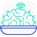 Brain Cactus Icon