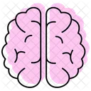 -brain-color  Icon