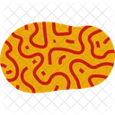 Brain Coral Icon