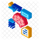 Brain Development Human Icon