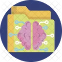 Brain Folder  Icon