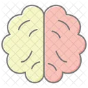 Brain Lineal Color Icon Icon