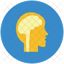 Brain  Icon