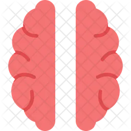 Brain  Icon