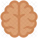 Brain  Icon