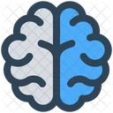 Brain  Icon