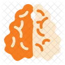 Brain Memories Creativity Icon