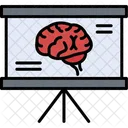 Brain  Icon