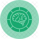 Brain  Icon