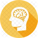 Brain  Icon