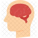 Brain  Icon