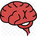 Brain  Icon