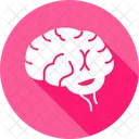 Brain  Icon