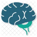 Brain  Icon