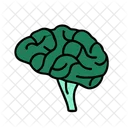 Brain Medical Health Icon