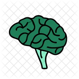 Brain  Icon