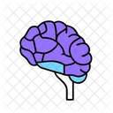 Brain Medical Health Icon