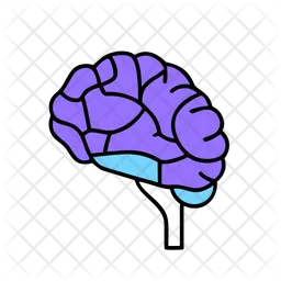 Brain  Icon