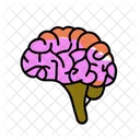 Brain Medical Health Icon