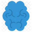 Brain  Icon