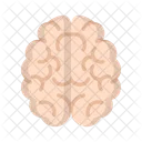 Brain Icon