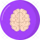 Brain Icon