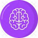 Brain  Icon