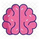 Brain  Icon