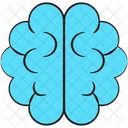 Brain  Icon