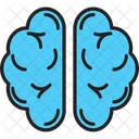 Brain  Icon