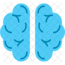 Brain  Icon