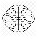 Brain  Icon