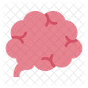 Brain Neural Organ Icon