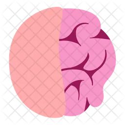 Brain  Icon