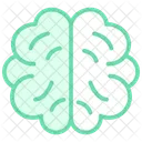 Brain Duotone Line Icon Icon