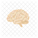 Brain Mind Idea Icon