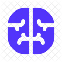 Brain  Icon