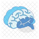 Brain Mind Head Icon
