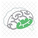 Brain Mind Head Icon