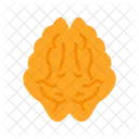 Brain Anatomy Organ Icon