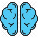 Brain  Icon