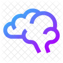 Brain  Icon