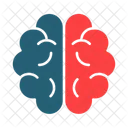 Brain  Icon