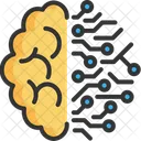Brain  Icon