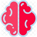 Brain  Icon