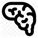 Brain  Icon
