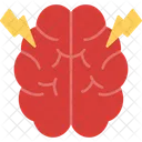 Brain  Icon